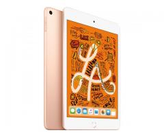 Apple Ipad Mini Wi-Fi Alan Yerler