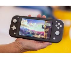 Bursa Nintendo Switch Lite Alan Yerler